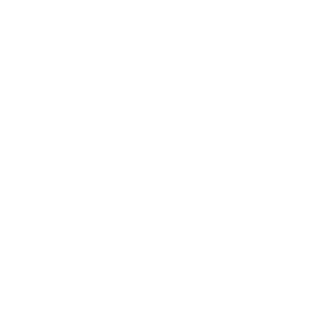 Capital Markets Elite Group