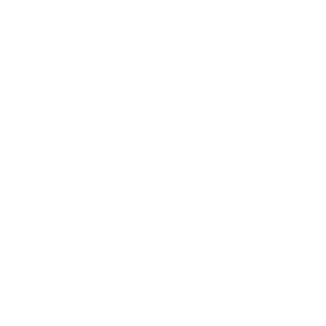 Company logo CapitalatWork wealth management Foyer Group SA