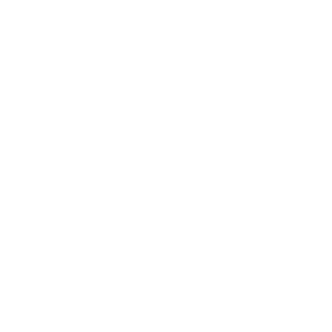 JL Securities SA