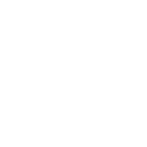 Company logo IFSAM the art of fund business (International Fund Services and Asset Management