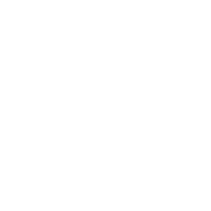 Dartley Securities